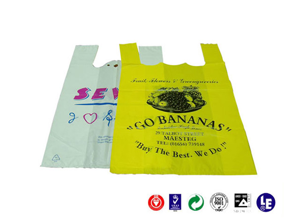 vest bag