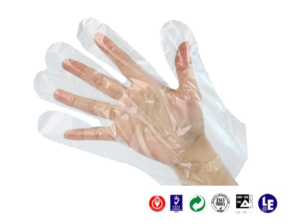 PE Gloves